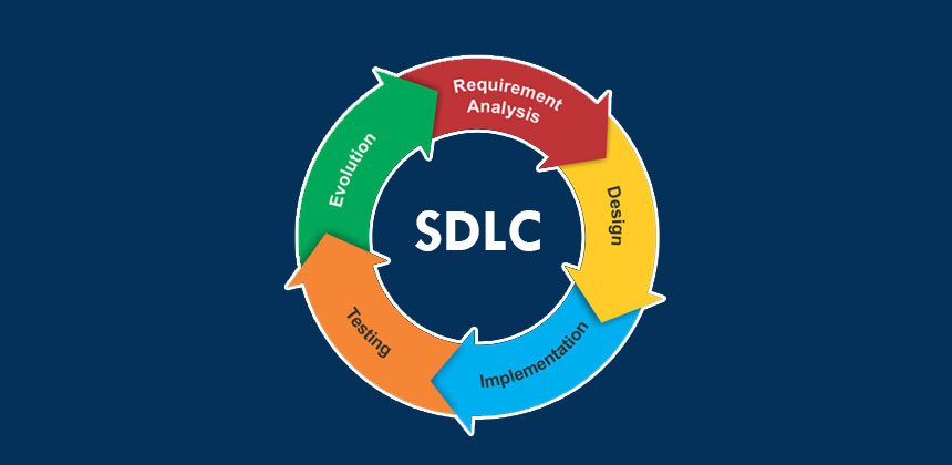 understanding of business processes and SDLC