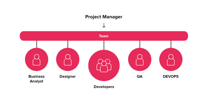 project manager