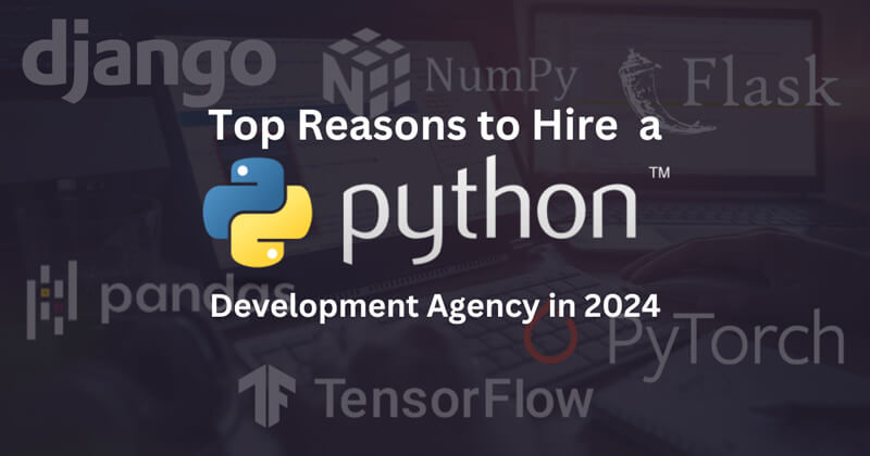 Top Reasons to Hire a Python Development Agency in 2024
